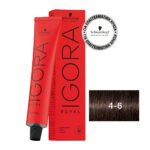 IGORA ROYAL 4-6 Καστανό Μεσαίο Μαρόν 60 ml