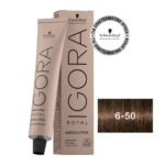 IGORA ROYAL Absolutes 6-50 Ξανθό Σκούρο Χρυσό Φυσικό 60 ml