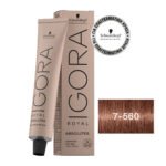 IGORA ROYAL Absolutes 7-560 Ξανθό Μεσαίο Χρυσό Μαρόν 60 ml