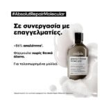 L’Oreal Professionnel Serie Expert Absolut Repair Molecular Shampoo 300ml